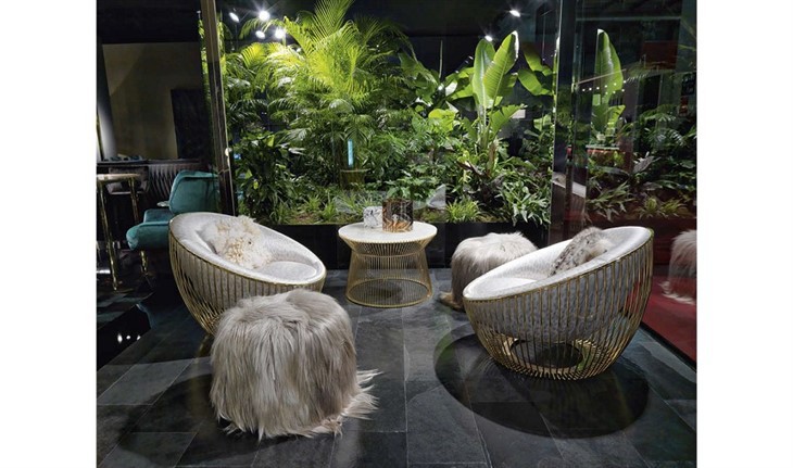 RC-COSMOPOLITAN-armchair-amb1(001)