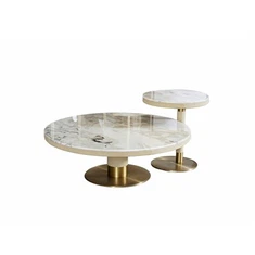 আধুনিক বিলাসবহুল কফি টেবিল